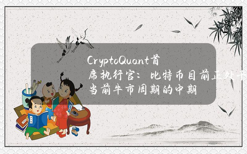 CryptoQuant首席执行官：比特币目前正处于当前牛市周期的中期